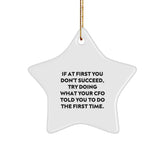 Funny CFO Christmas Star Ornament Gifts from Coworkers, Friends, or Family - 'If At First You Don't Succeed, Try Doing What Your Cfo Told You To Do The First Time' - Image 1