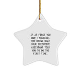 Funny Executive Assistant Star Ornament, Gifts from Men or Women, Perfect for Executive Assistant Christmas Decorations, If At First You Don't Succeed Quote, Star Shaped Gift for Coworkers or Friends - Image 1