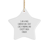Cool Mail Carrier Dad Gifts for Christmas - Star Ornament, Funny Quote, Perfect for Men, Friends, or Family - Image 1