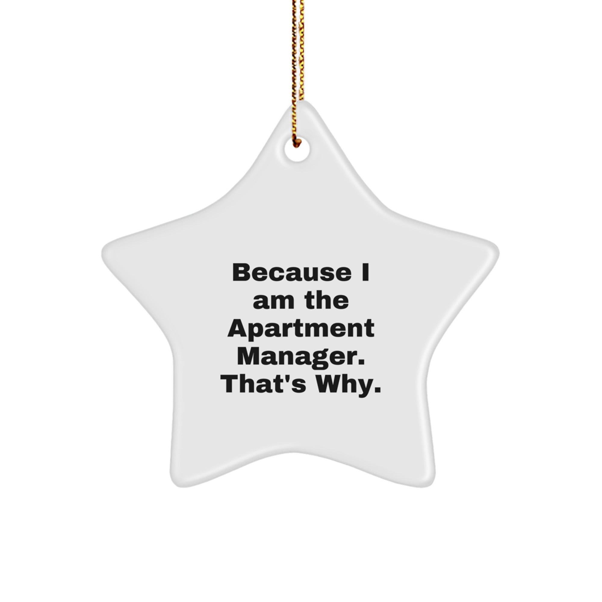 Funny Apartment Manager Gifts for Christmas - 'Because I Am The Apartment Manager. That's Why.' Star Ornament, Gifts from Friends, Gifts for Apartment Manager - Image 1
