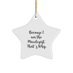 Mixologists Gifts from Friends to Family - Star Ornament with Funny Quote 'Because I Am The Mixologist. That's Why.' - Christmas Unique - Image 1