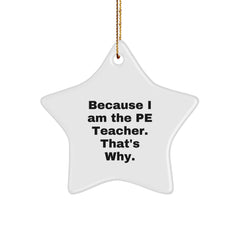 Funny PE Teacher Gifts from Friends - Because I Am The PE Teacher. That's Why. Christmas Star Ornament for PE Teacher, Gifts for PE Teacher, Unique Christmas Unique Gifts - Image 1