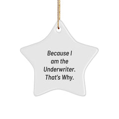 Underwriter Star Ornament Gifts from Men to Friends, Cute 'Because I Am The Underwriter. That's Why.' Quote, Christmas Unique Gifts for Underwriter, Star Ornament Enthusiasts - Image 1