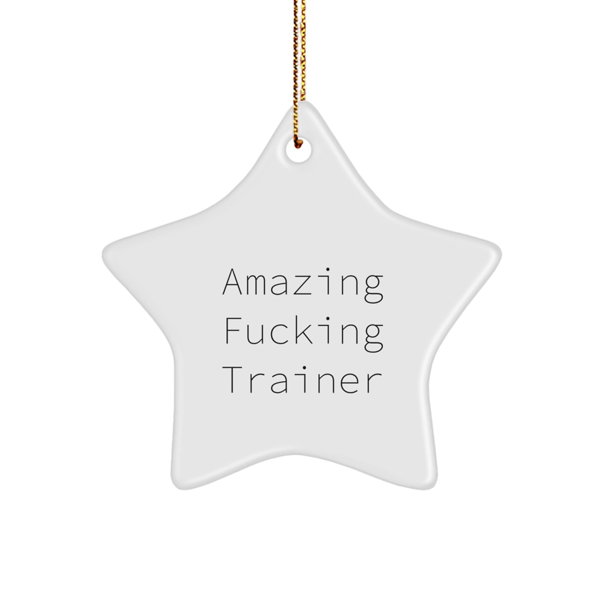 Funny Trainer Gifts from Friends - Amazing Star Ornament for Christmas - Inspirational Quote - Image 1