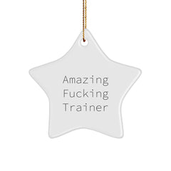 Funny Trainer Gifts from Friends - Amazing Star Ornament for Christmas - Inspirational Quote - Image 1
