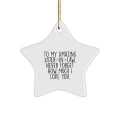 Funny Sister-in-law Gifts from Men to Women, Star Ornament, 'To My Amazing Sister-in-law, Never Forget How Much I Love You.' - Christmas Unique Gifts for Sister-in-law - Image 1