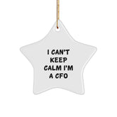 Funny CFO Gifts for Men CFO Christmas Star Ornament Inspirational Quote, Gifts from Friends, Family, Coworkers, or Women, for CFO, Men, Women, Friends, Family, or Coworkers - Image 1