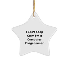 Funny Computer Programmer Star Ornament Gifts for Friends, Coworkers, or Family - 'I Can't Keep Calm I'm A Computer Programmer' Christmas Unique Gifts from Friends - Image 1