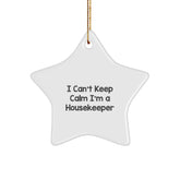 Funny I Can't Keep Calm I'm A Housekeeper Gifts from Friends to Housekeeper Christmas Unique Gifts with Star Ornament - Image 1