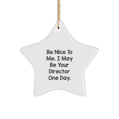 Funny Director Gift, Be Nice to Me, Star Ornament for Men, Christmas Unique Gifts from Friends - Image 1