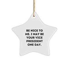 Funny Vice President Star Ornament Gifts from Friends for Him, Christmas Unique Gifts for Vice President, Funny Star Shaped Decoration - Image 1