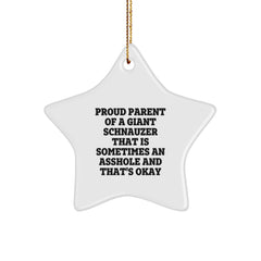 Funny Giant Schnauzer Dog Gifts from Friends, Star Ornament for Proud Parents, Christmas Unique Decorations - 'Sometimes An Asshole' - Image 1