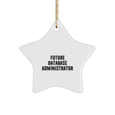 Funny Future Database Administrator Christmas Star Ornament Gifts from Men for Family Friends Coworkers - Image 1