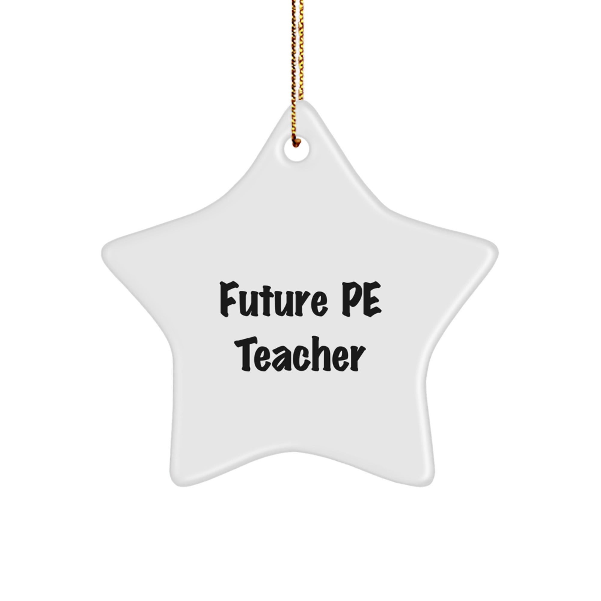 Funny Inspirational PE Teacher Gifts for Christmas Unique Star Ornament, Gifts from Family and Friends for Future PE Teacher, 'Future PE Teacher' Quote - Image 1
