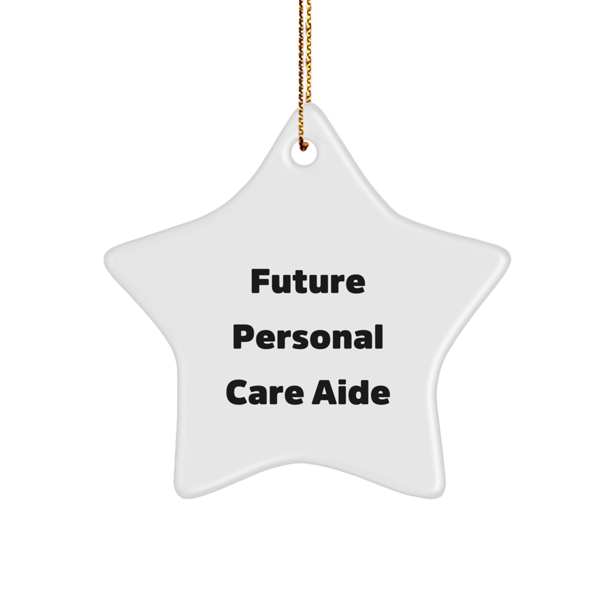 Funny Quote Gifts for Personal Care Aide Star Ornament, Christmas Unique Gifts from Men to Future Personal Care Aide - Image 1