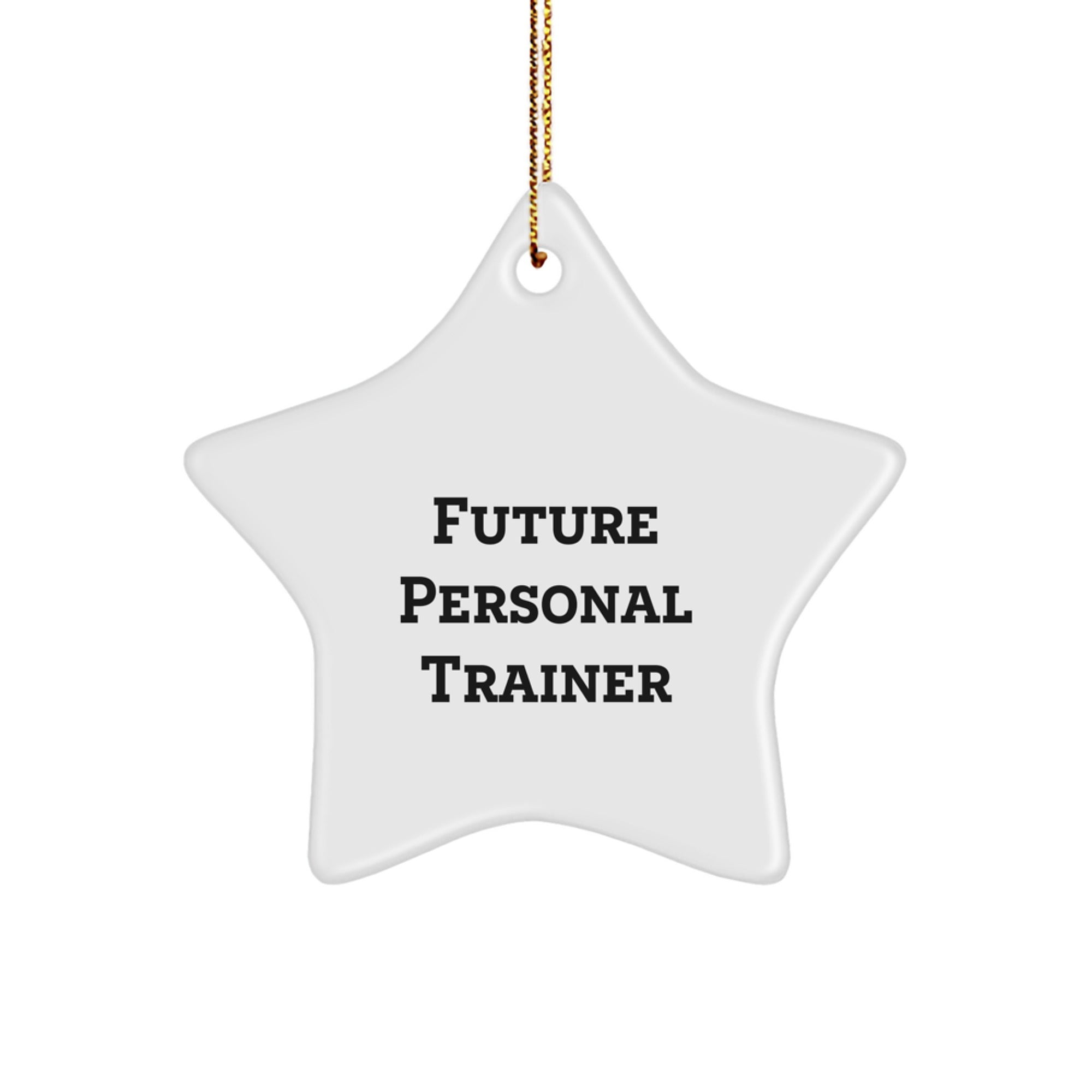 Personal Trainer Funny Quote Star Ornament - Gifts from Friends for Christmas Unique Presents, Funny Motivational Gym Decor Star, Perfect Personal Trainer Gifts for Men - Image 1