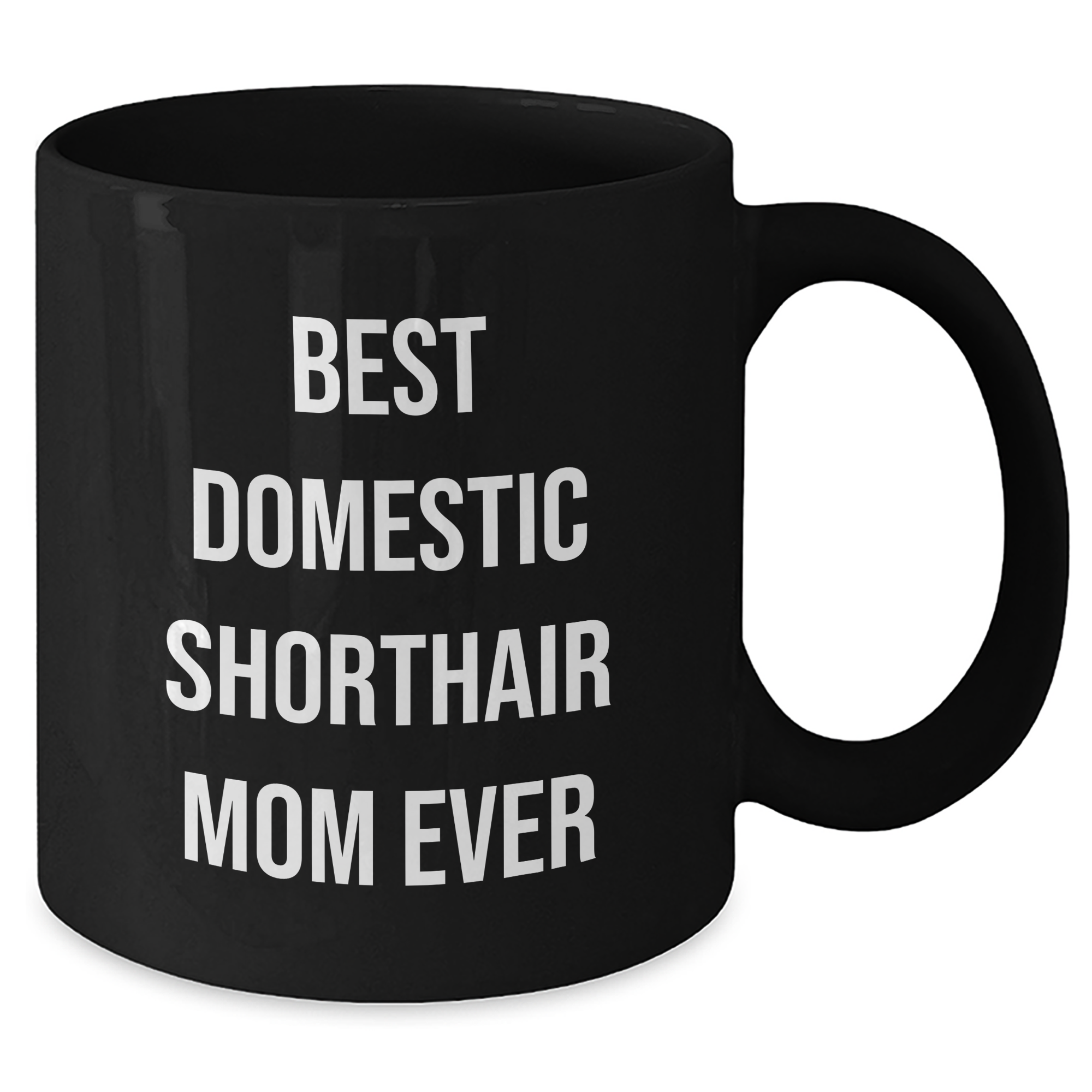 Funny Domestic Shorthair Cat Mom Mugs for Dad's Day Gifts from Family, Black Coffee Mug with Inspirational Quote - Additional
