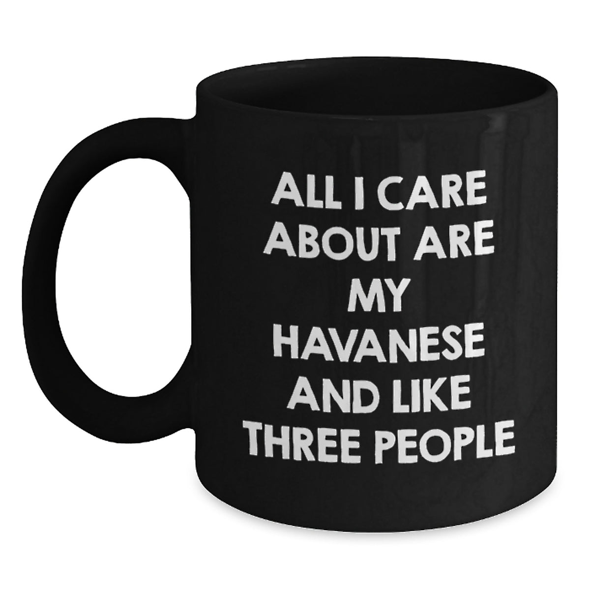 Havanese Dog Lover Gifts from Friends - Funny Quote Black Coffee Mug for Valentine's - Unique Havanese Dog Gifts for Men Women Family - Main