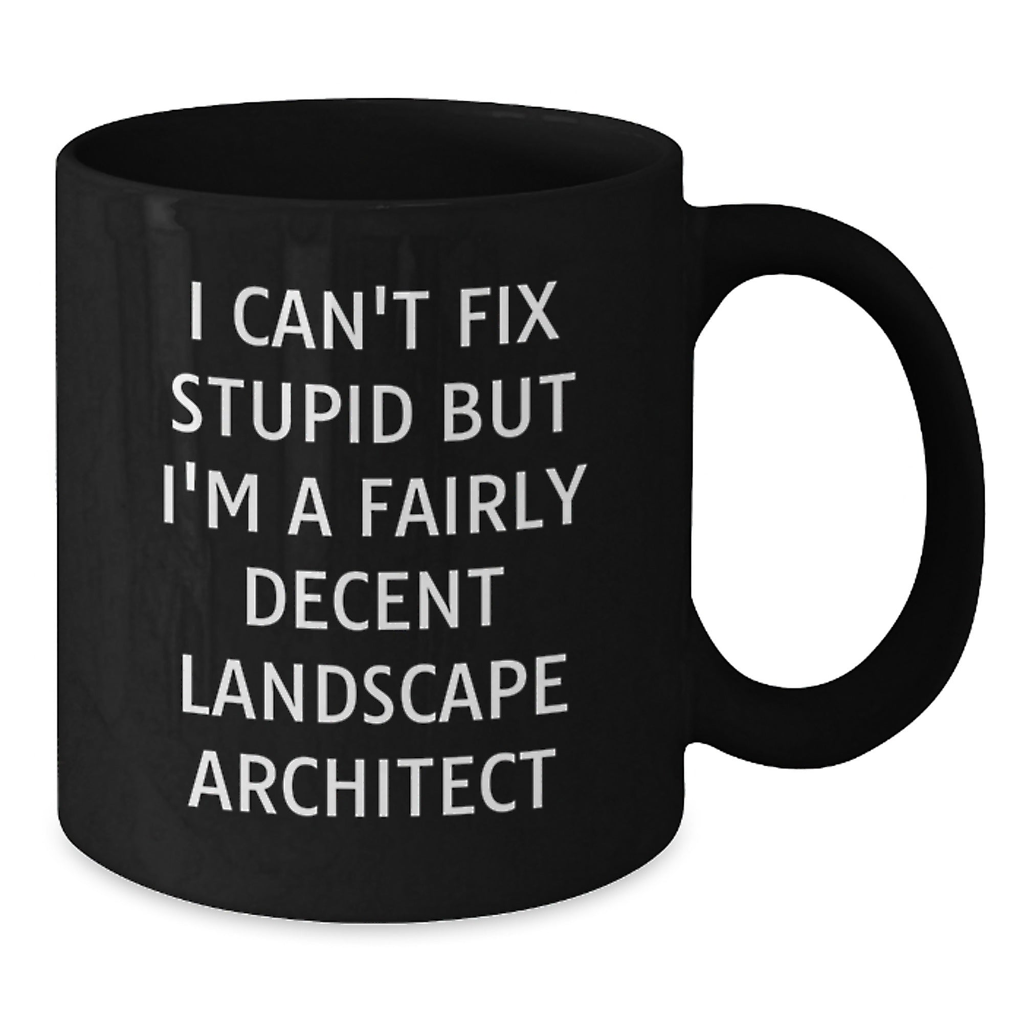 Funny Landscape Architect Black Coffee Mugs Gifts from Friends to Colleagues, 'I Can't Fix Stupid But I'm A Fairly Decent Landscape Architect', Black Ceramic Mug, 11oz or 15oz, Christmas Unique - Additional