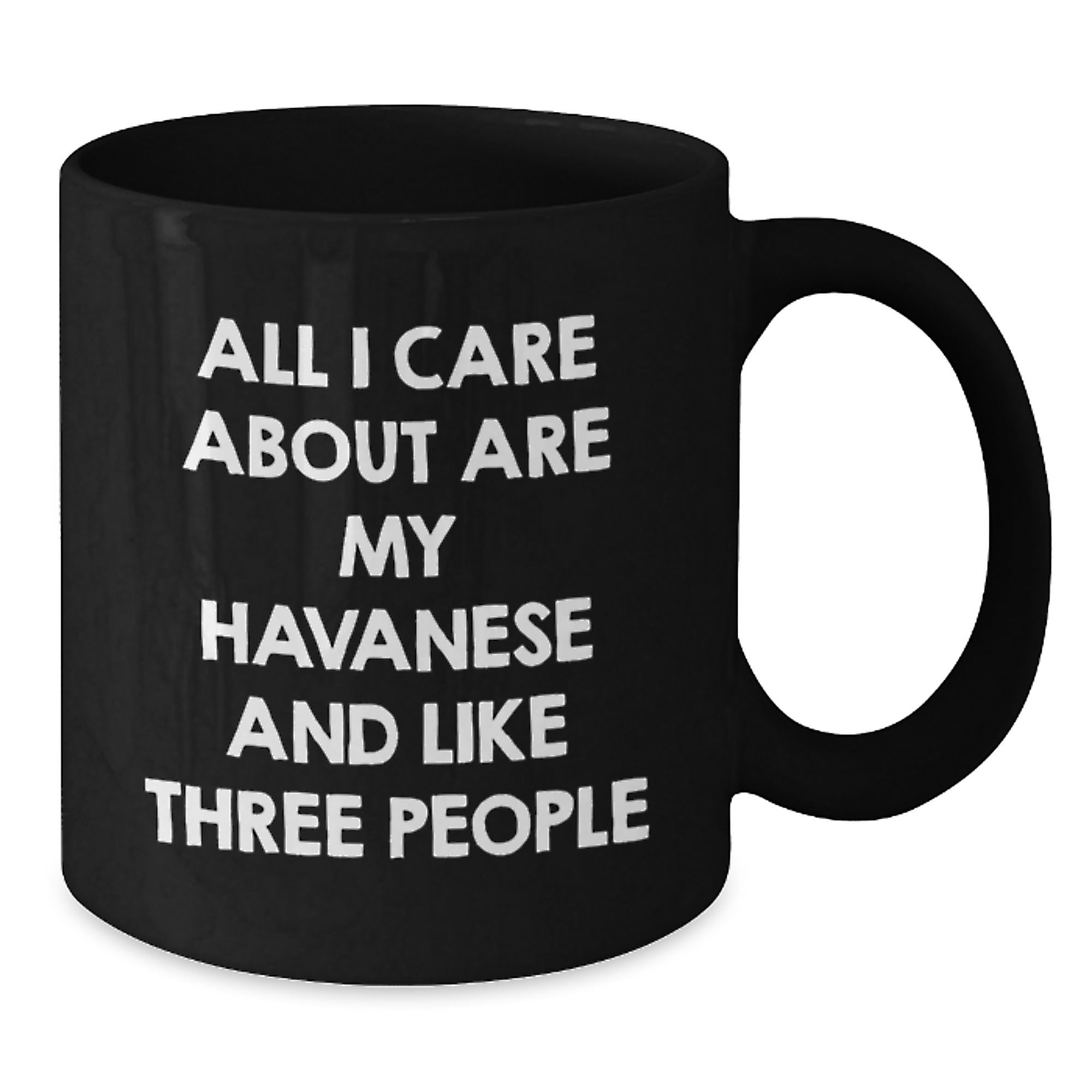 Havanese Dog Lover Gifts from Friends - Funny Quote Black Coffee Mug for Valentine's - Unique Havanese Dog Gifts for Men Women Family - Additional