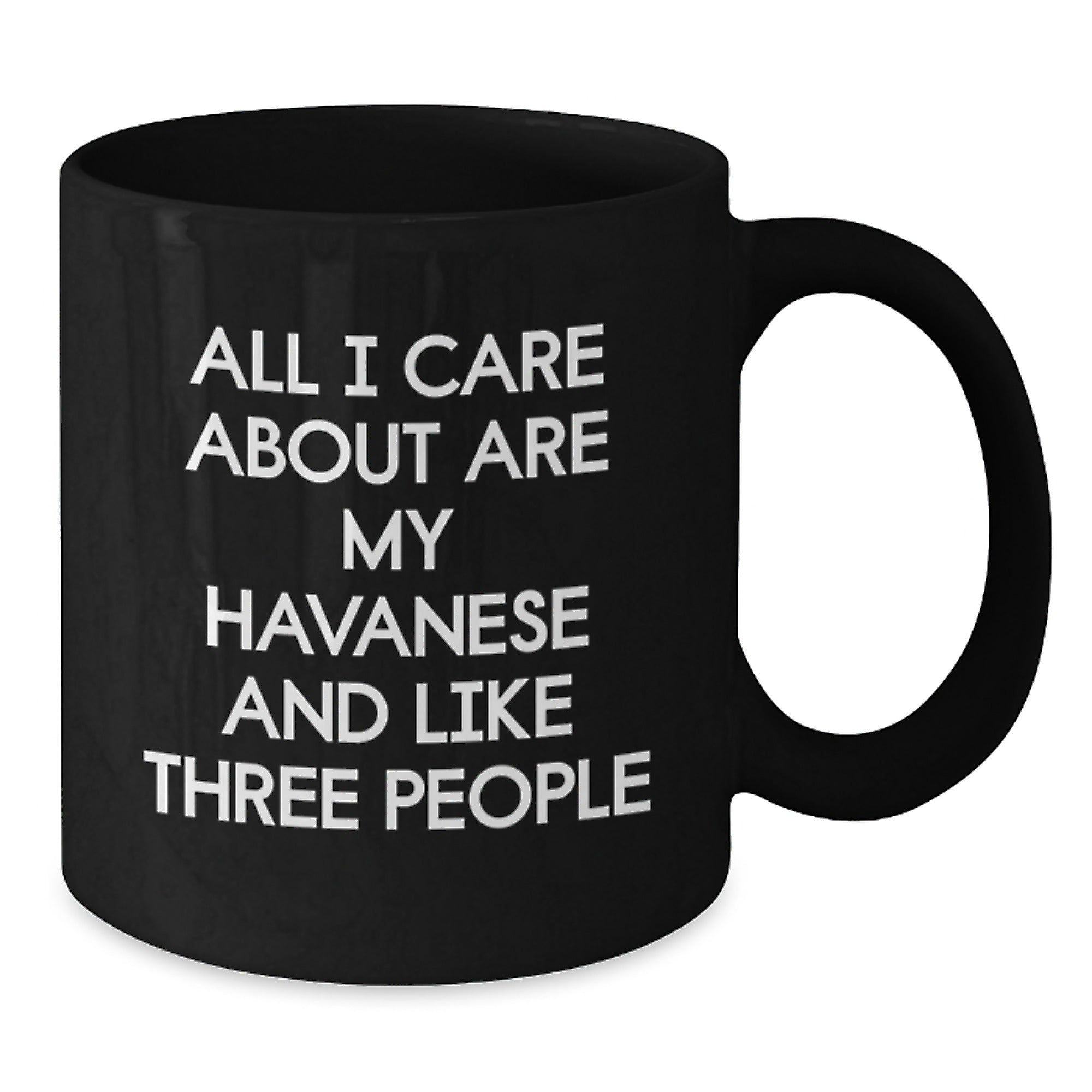 Funny Havanese Dog Gifts for Valentine's - Black Coffee Mug for Havanese Lover from Friends - Additional