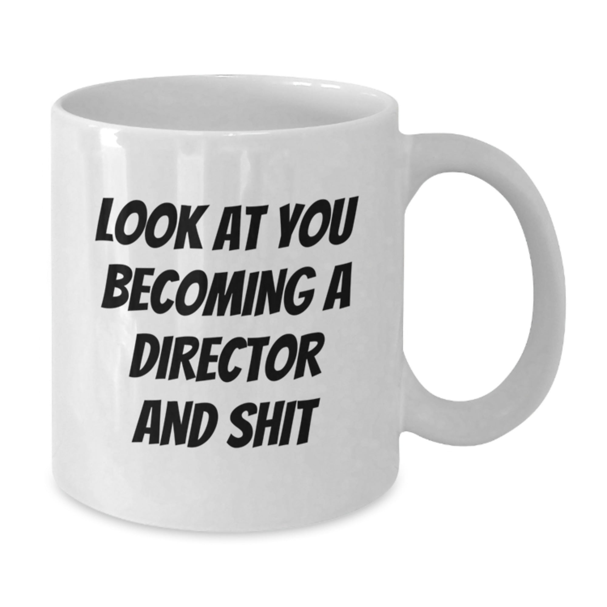 Funny Director White Coffee Mug Gifts from Men to Friends, Christmas Unique Mugs Inspirational quotes for Director Enthusiasts, White Ceramic Mug - 11oz or 15oz Capacity - Additional