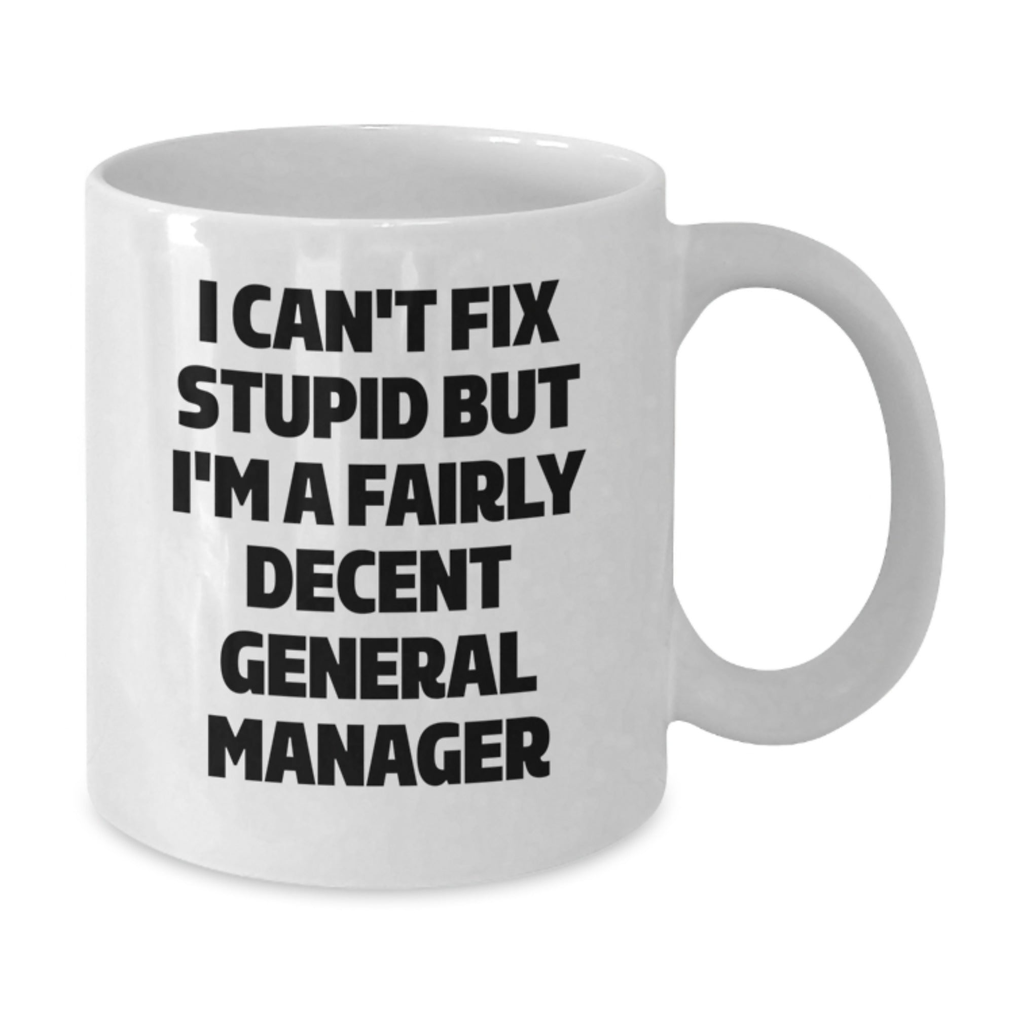 Funny General Manager Gifts from Men to Friends - I Can't Fix Stupid But I'm A Fairly Decent General Manager White Coffee Mug for Graduation - Additional