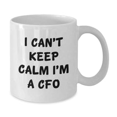 Funny CFO Gifts from Friends, White Coffee Mug for CFO Men, I Can't Keep Calm I'm A CFO - Additional
