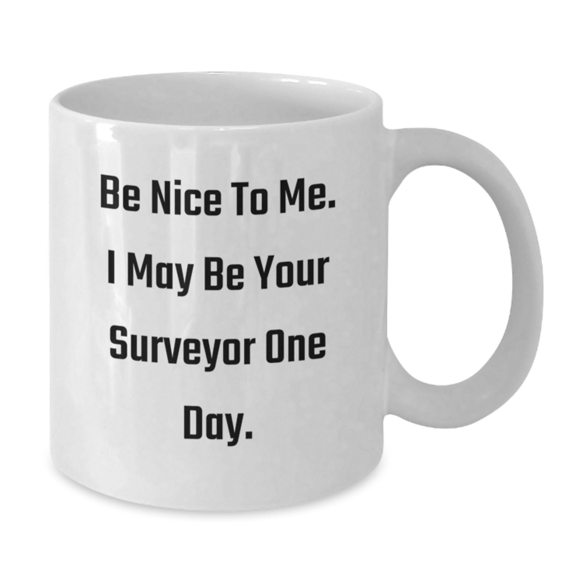 Funny Surveyor Gifts for Men from Friends, White Coffee Mug, Be Nice To Me. I May Be Your Surveyor One Day., Christmas Unique Gift Ideas - Additional