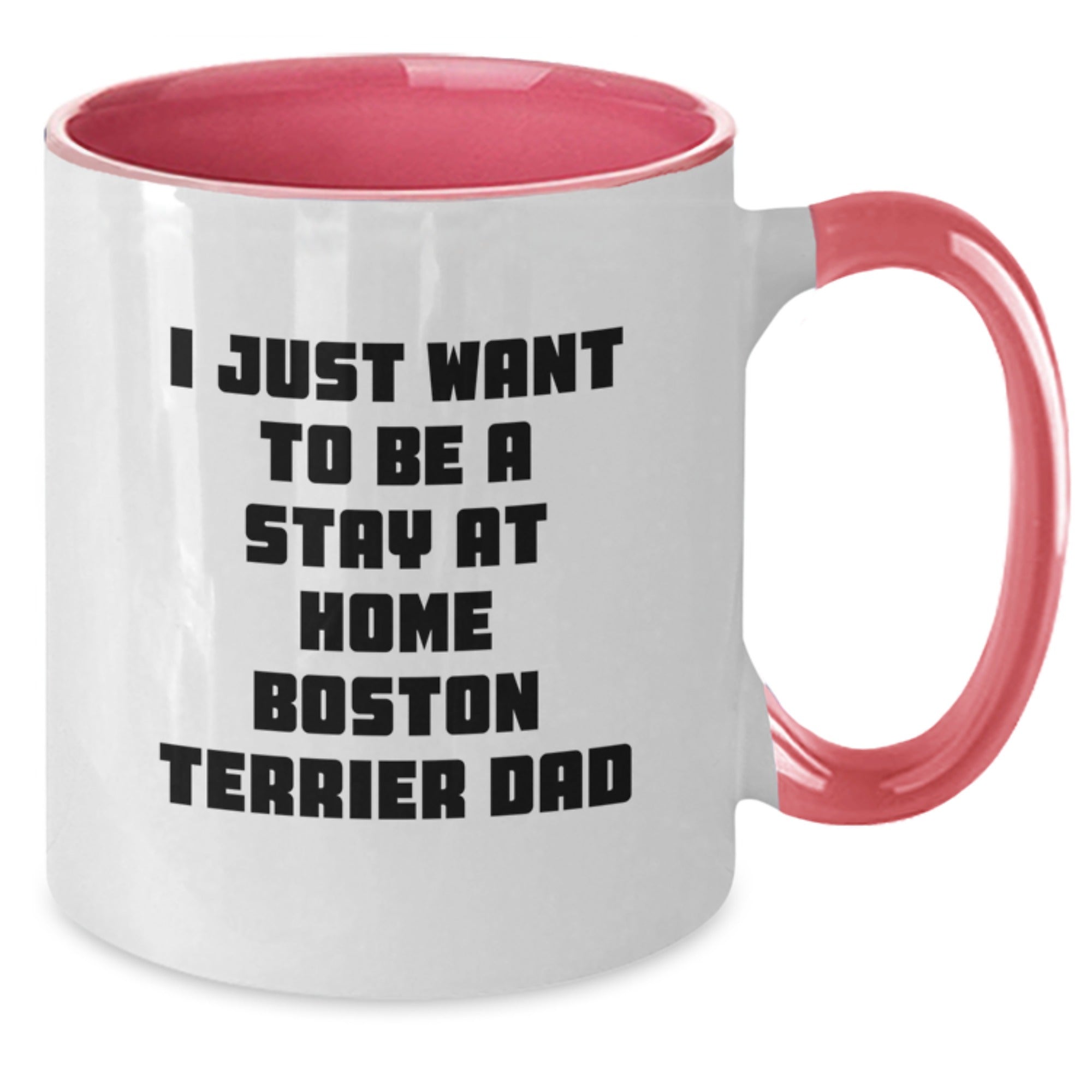 Funny Boston Terrier Dog Gifts from Dad to Boston Terrier Dog Lover Graduation Unique Gifts - Additional