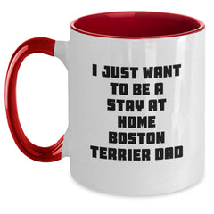 Funny Boston Terrier Dog Gifts from Dad to Boston Terrier Dog Lover Graduation Unique Gifts - Main