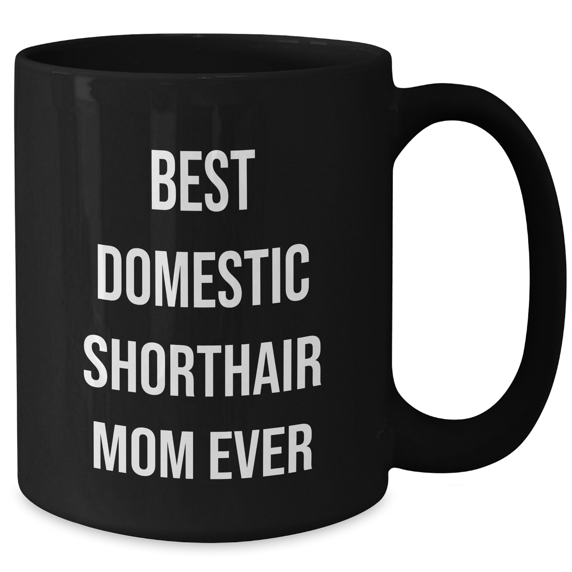 Funny Domestic Shorthair Cat Mom Mugs for Dad's Day Gifts from Family, Black Coffee Mug with Inspirational Quote - Additional