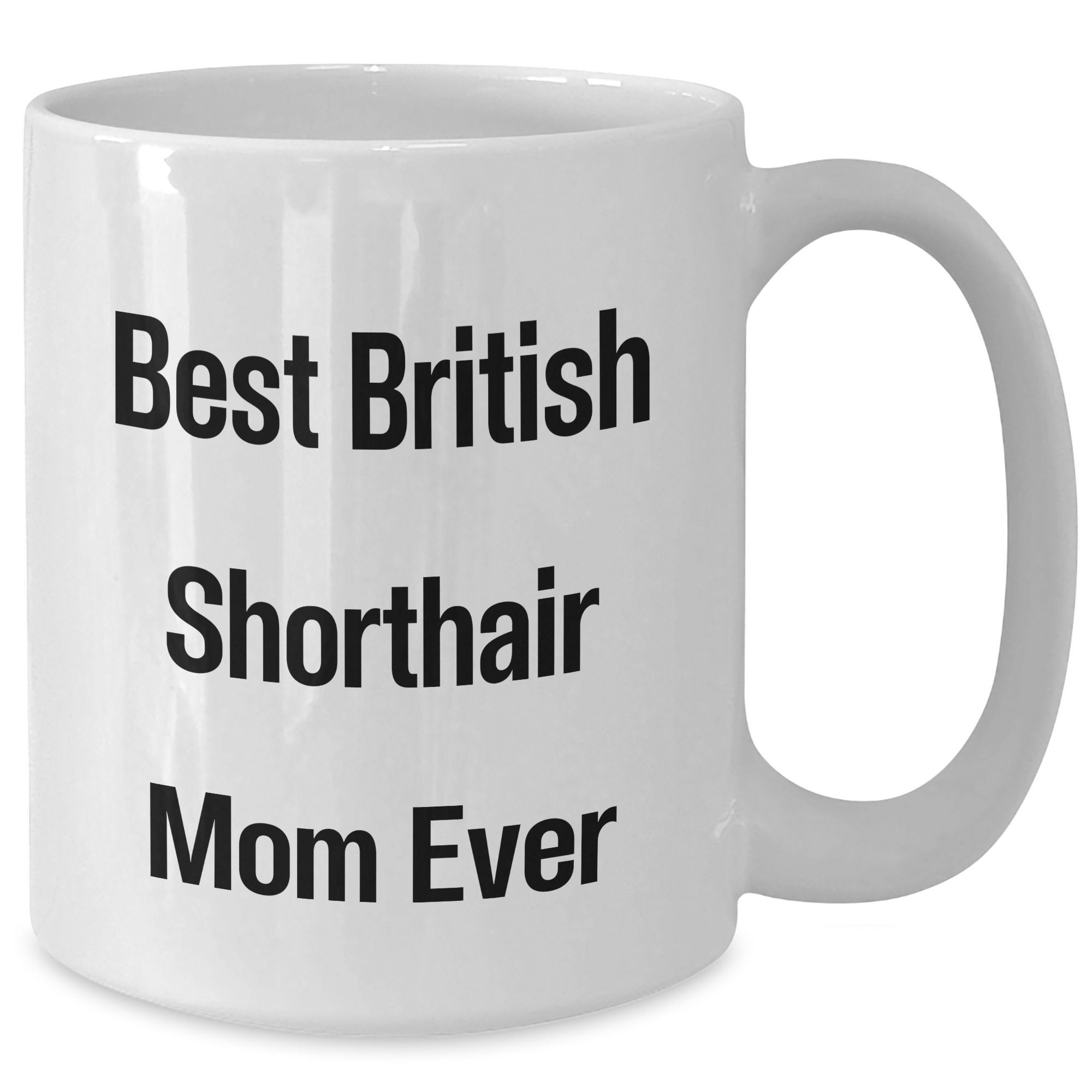 Funny British Shorthair Cat Mom Gifts from Family - White Coffee Mug for Dad on Father's Day - Additional