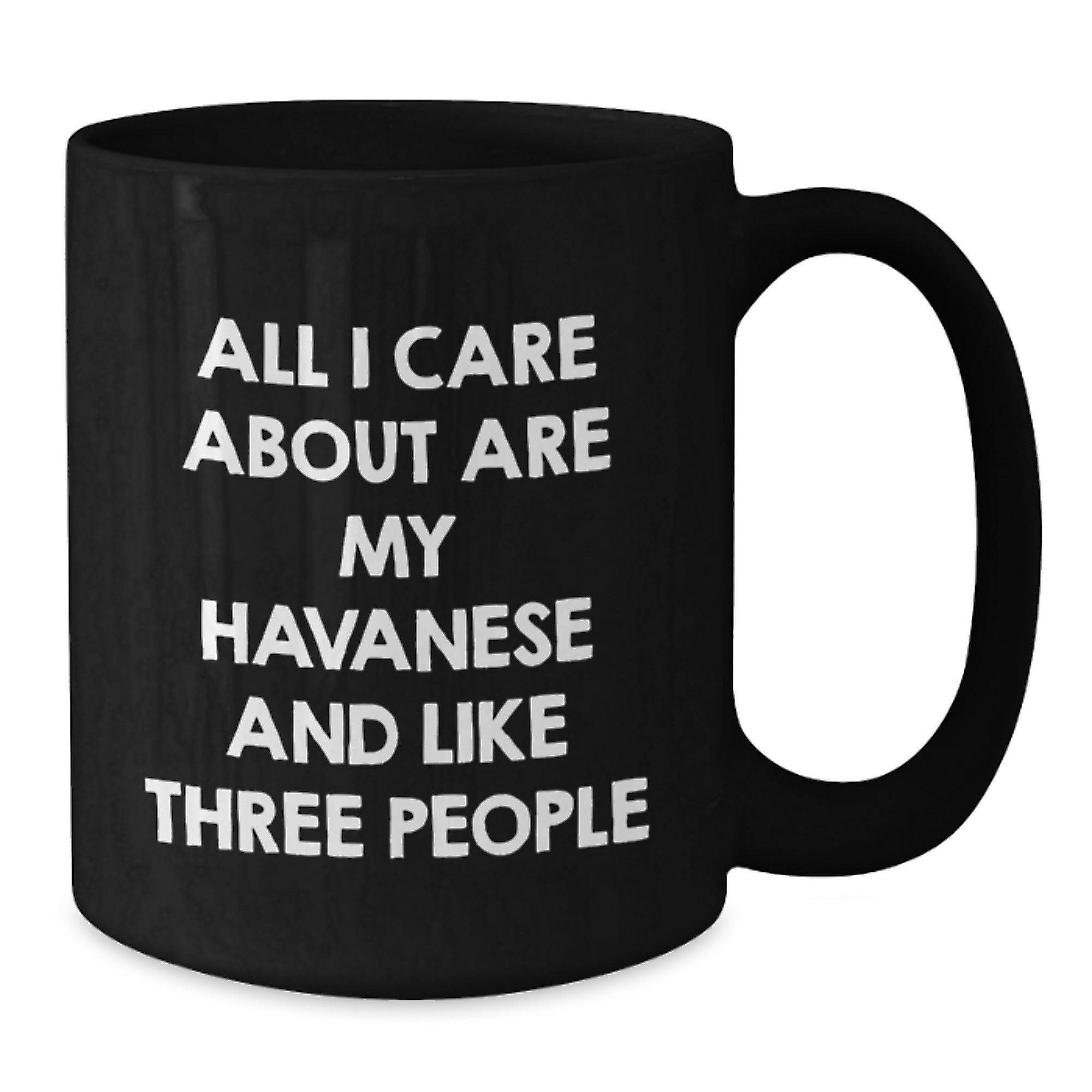 Havanese Dog Lover Gifts from Friends - Funny Quote Black Coffee Mug for Valentine's - Unique Havanese Dog Gifts for Men Women Family - Additional