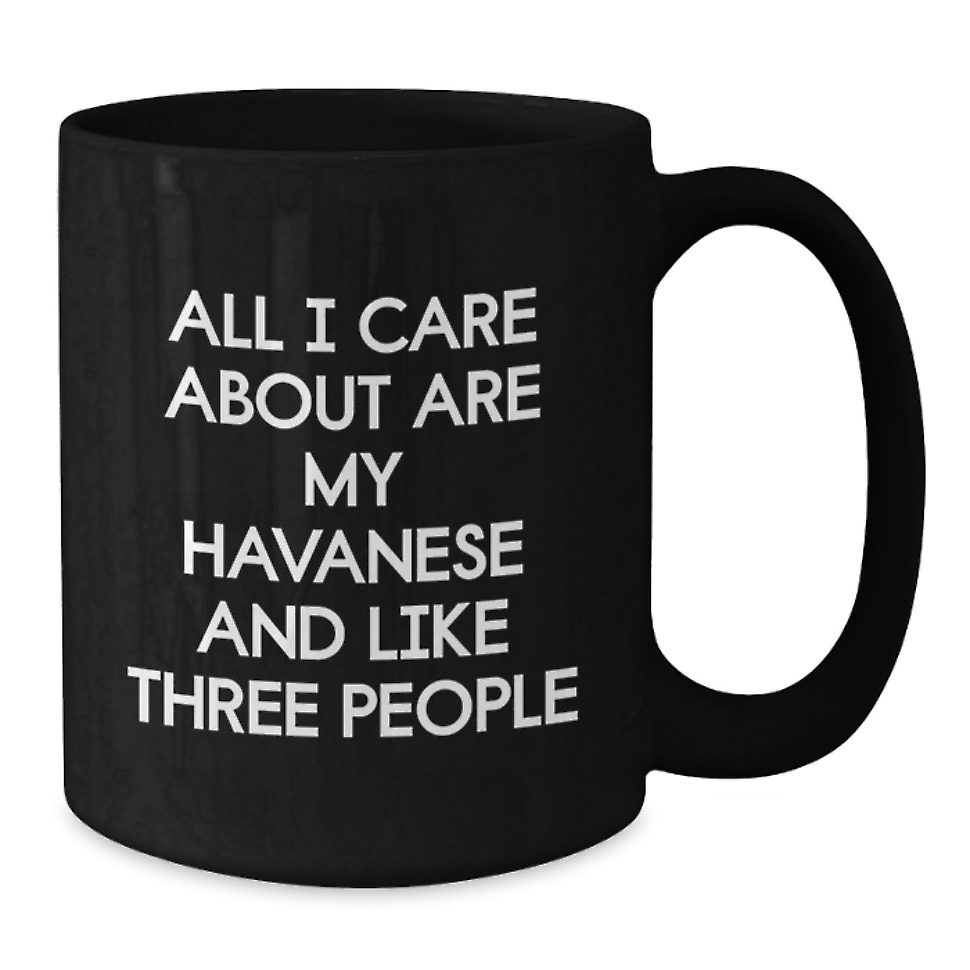 Funny Havanese Dog Gifts for Valentine's - Black Coffee Mug for Havanese Lover from Friends - Additional