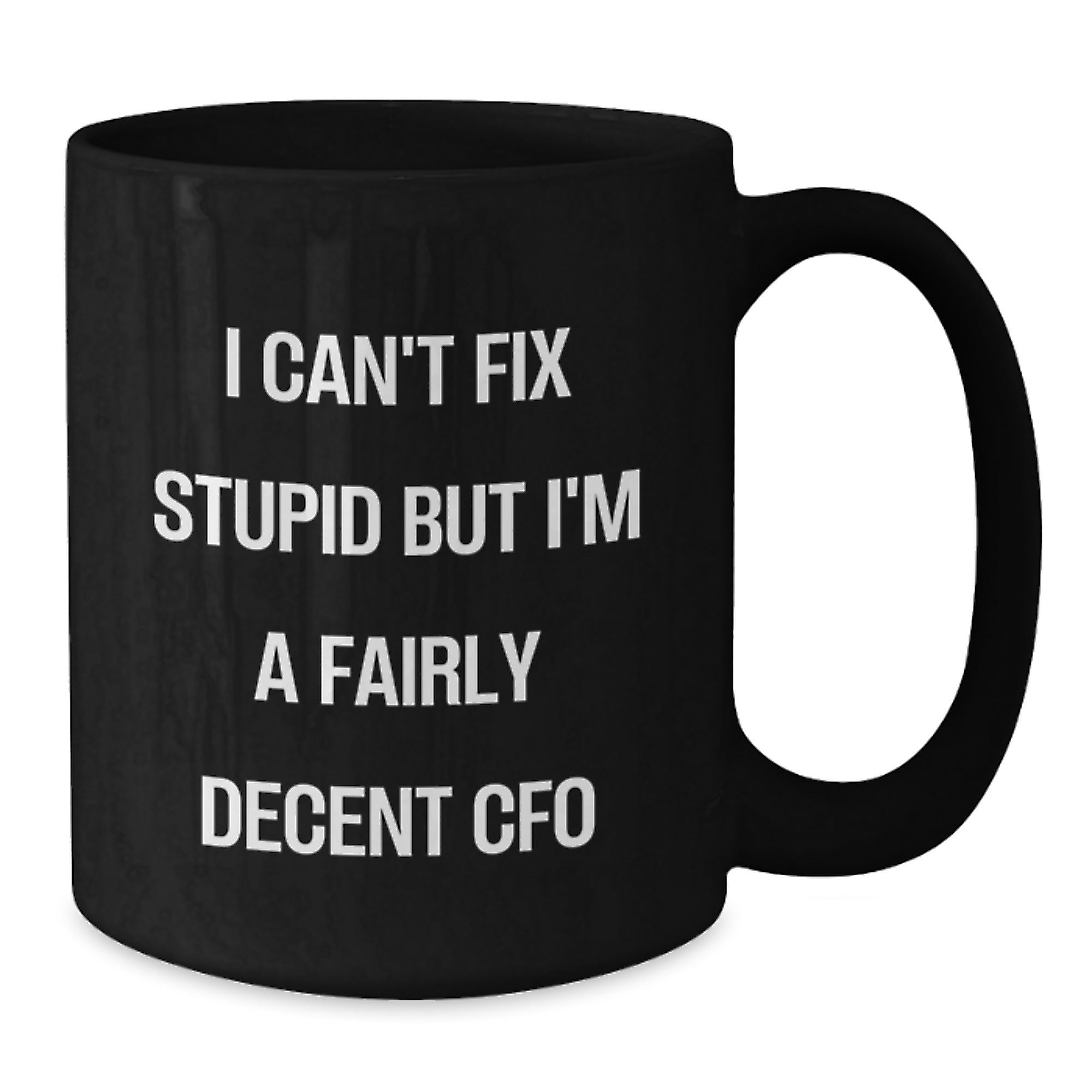 Funny CFO Gift, I Can't Fix Stupid But I'm A Fairly Decent CFO Christmas Unique Gifts for Men, Women, Friends, Coworkers, Family, Black Coffee Mug - Additional