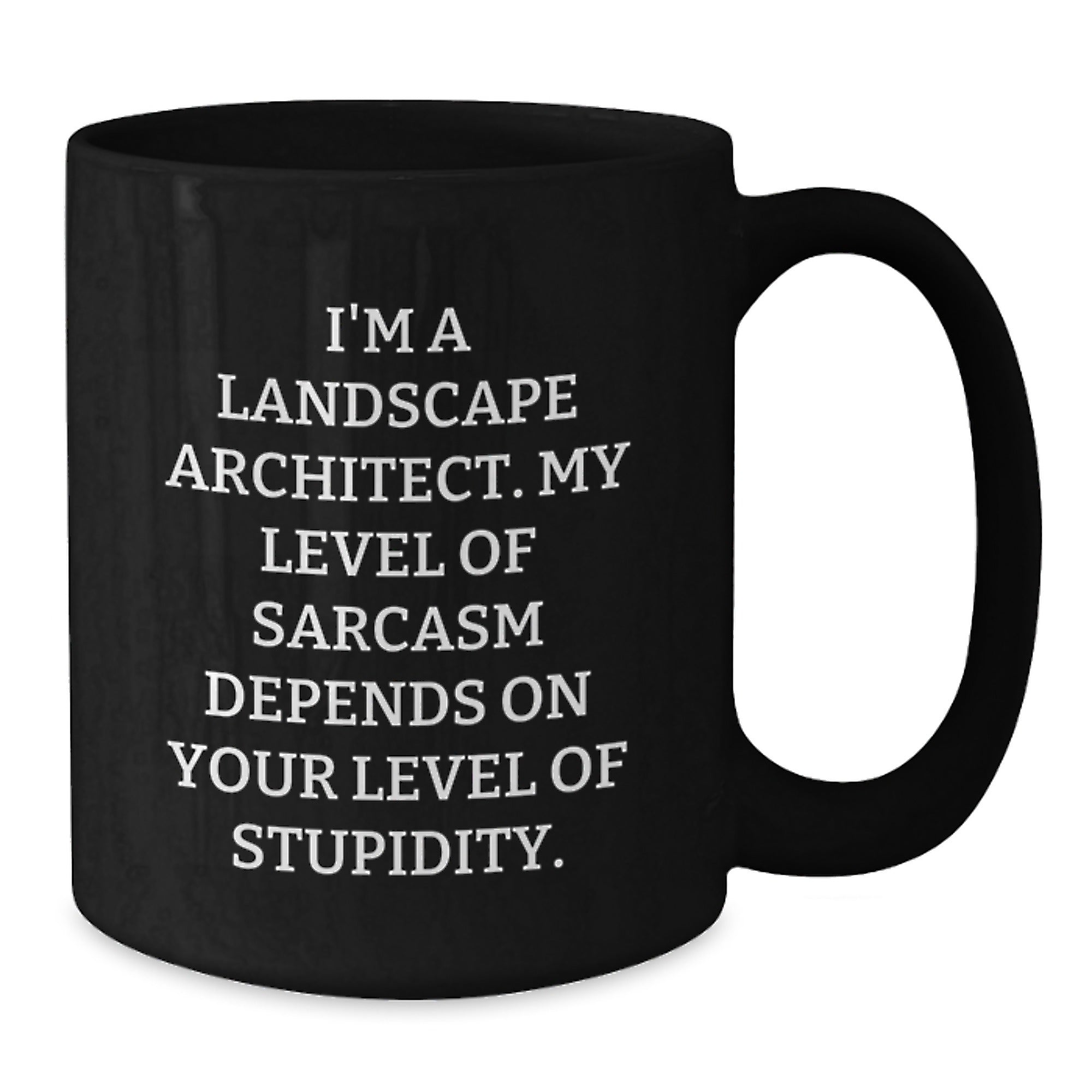 Landscape Architect Humor Gifts from Friends, Funny Black Coffee Mug for Graduation - Additional