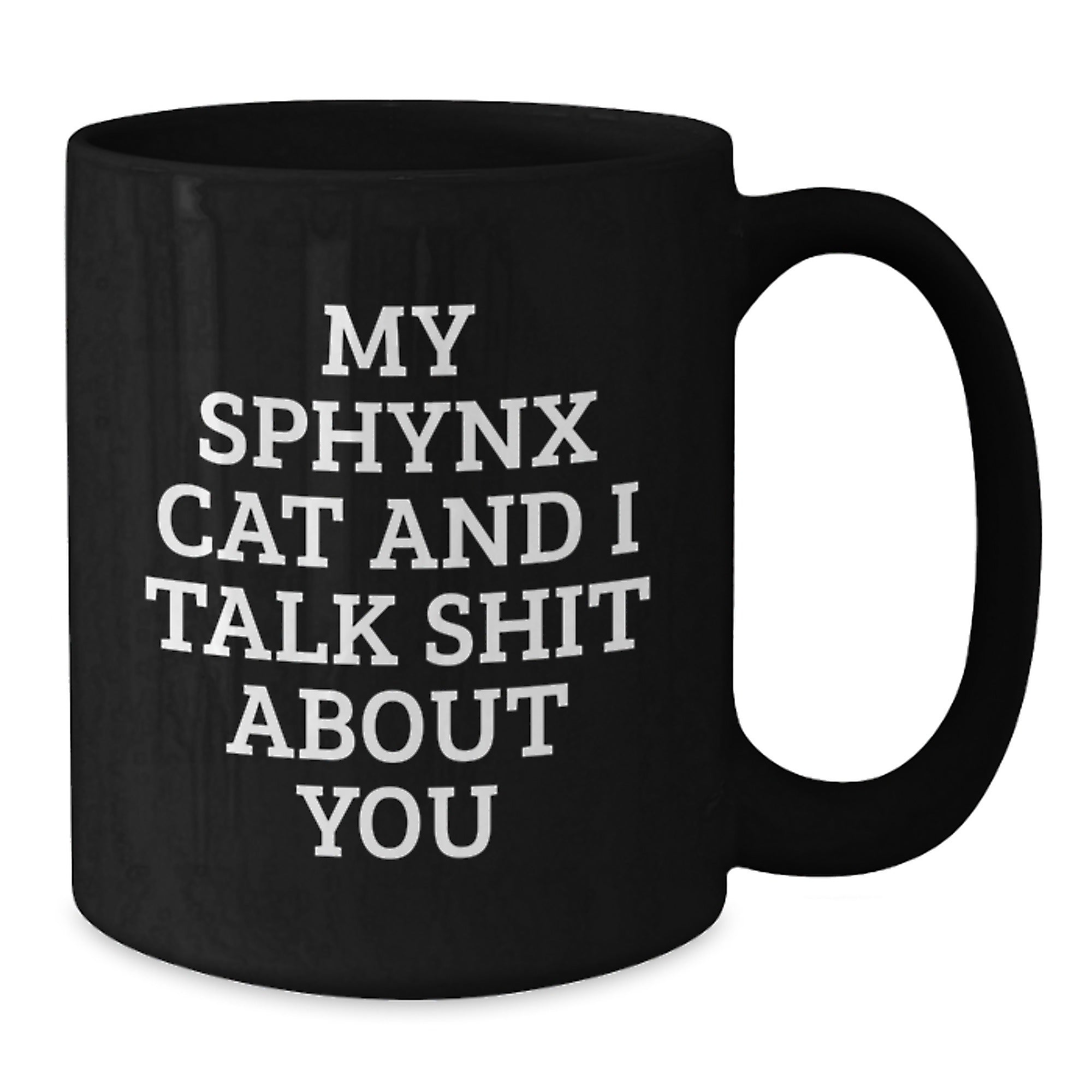 Funny Sphynx Cat Gifts from Men - Unique Valentine's Black Coffee Mug for Women Friends Coworkers - Additional