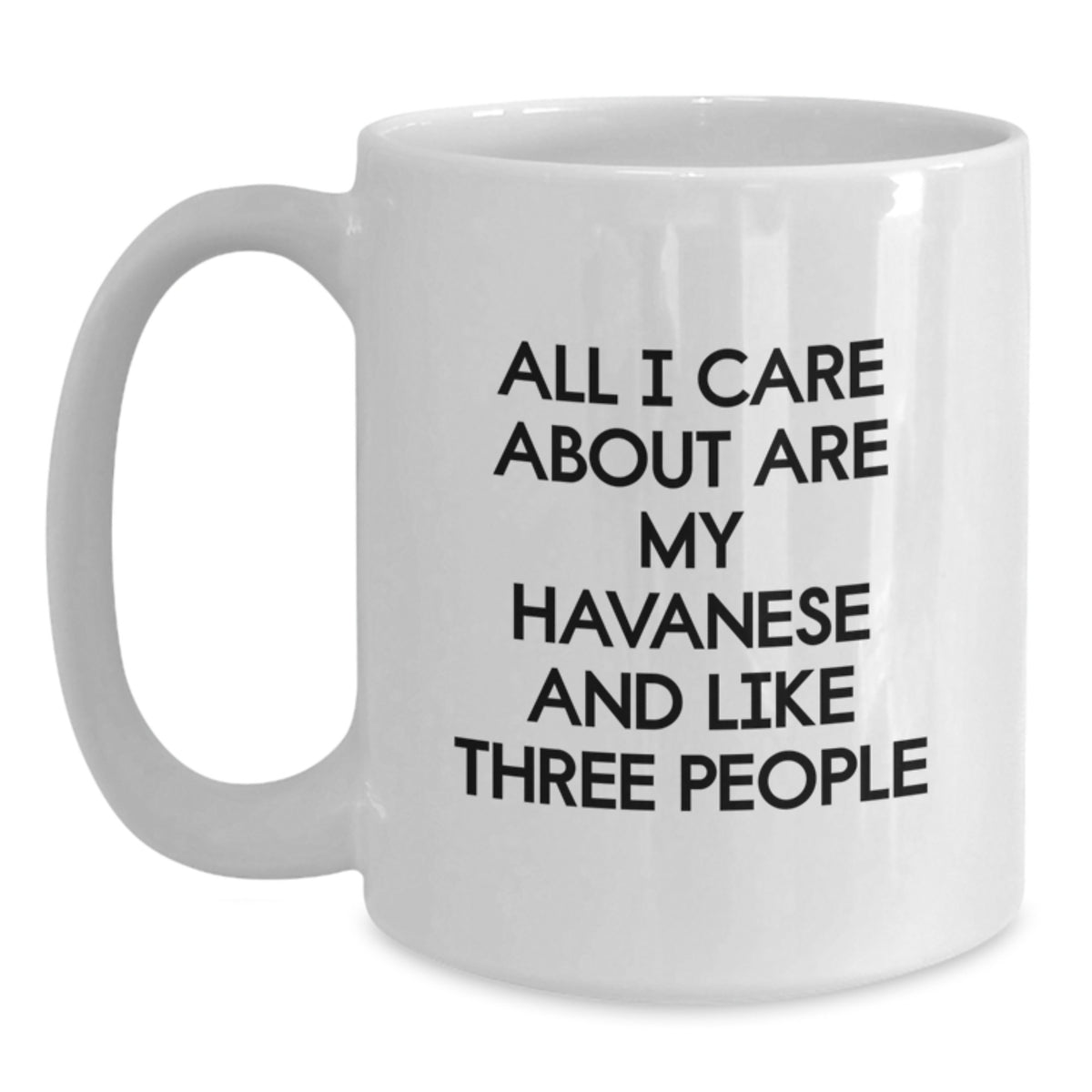 Funny Havanese Dog Lover Gifts from Men to Havanese Dog Owners on Valentine's White Coffee Mug - Main