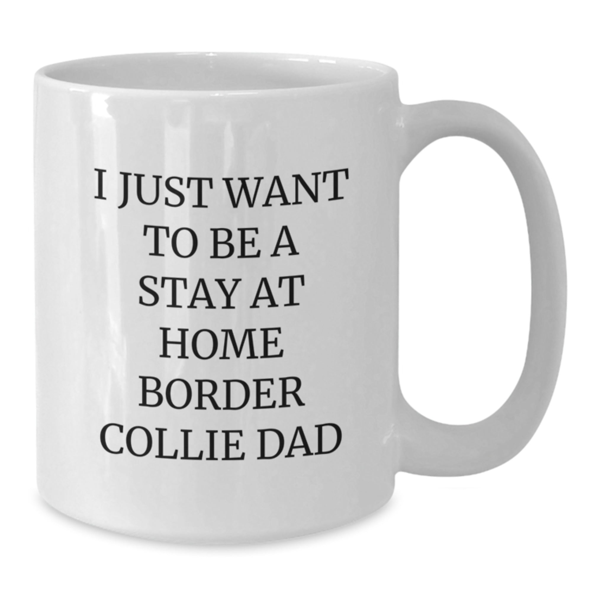 Funny Border Collie Dog Dad Gifts from Men to Graduation Unique Gifts for Border Collie Dog Lovers - I Just Want To Be A Stay At Home Border Collie Dad Quote White Coffee Mug - Additional
