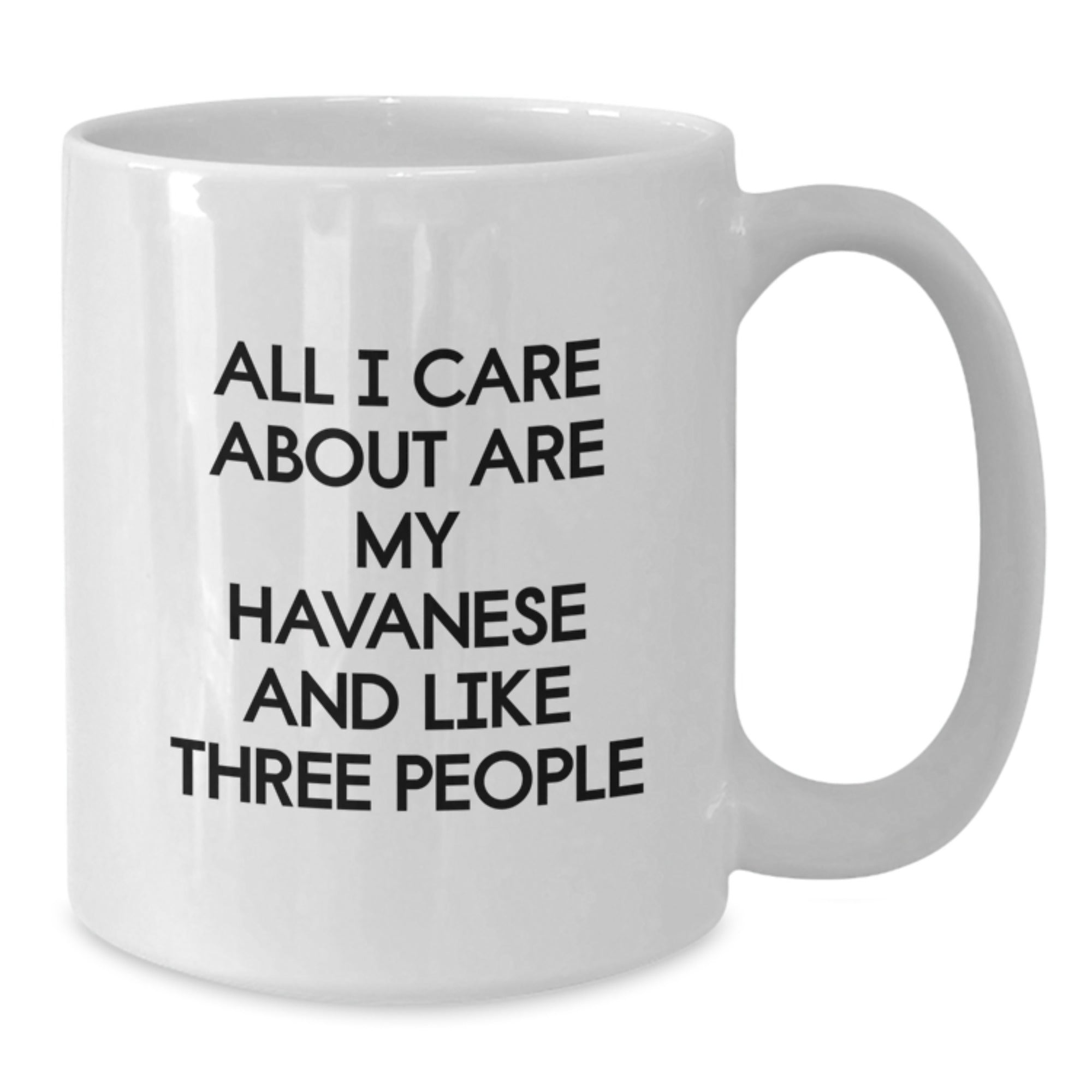 Funny Havanese Dog Lover Gifts from Men to Havanese Dog Owners on Valentine's White Coffee Mug - Additional