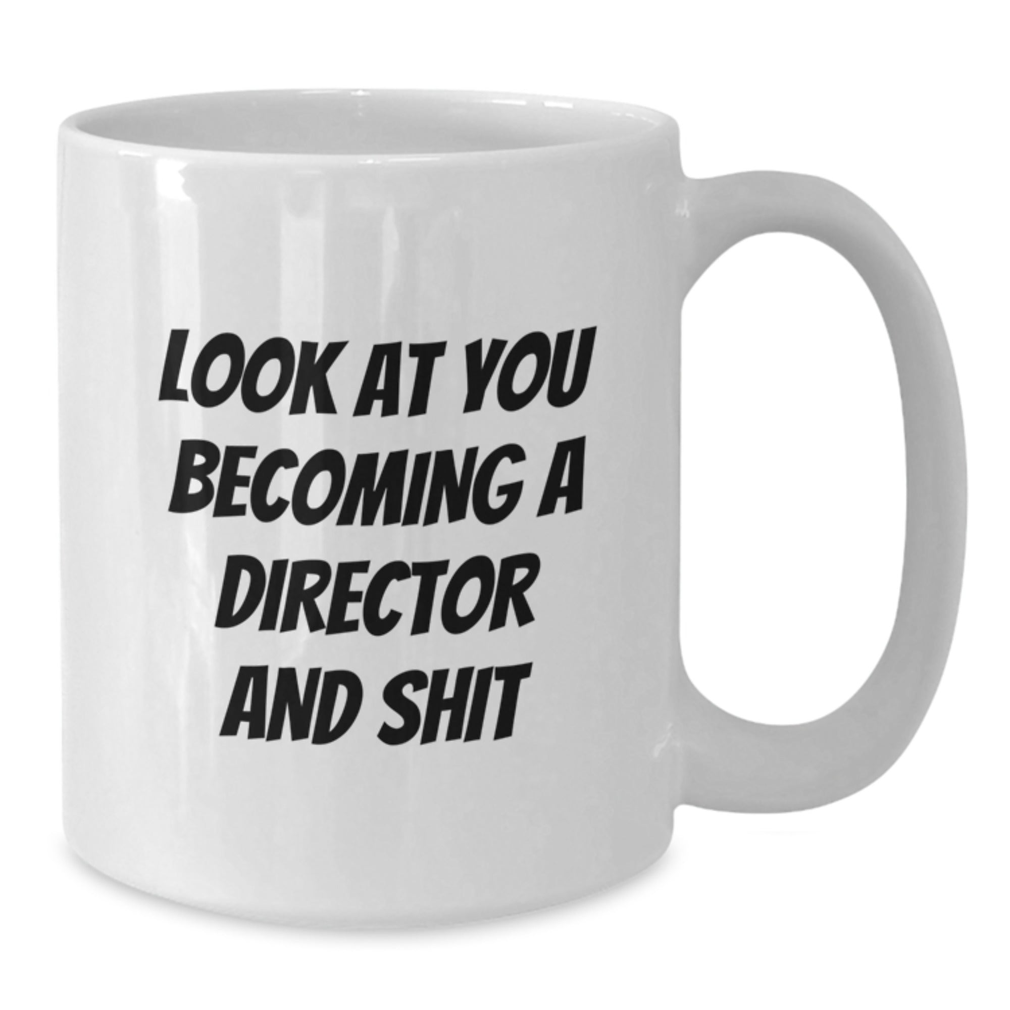 Funny Director White Coffee Mug Gifts from Men to Friends, Christmas Unique Mugs Inspirational quotes for Director Enthusiasts, White Ceramic Mug - 11oz or 15oz Capacity - Additional
