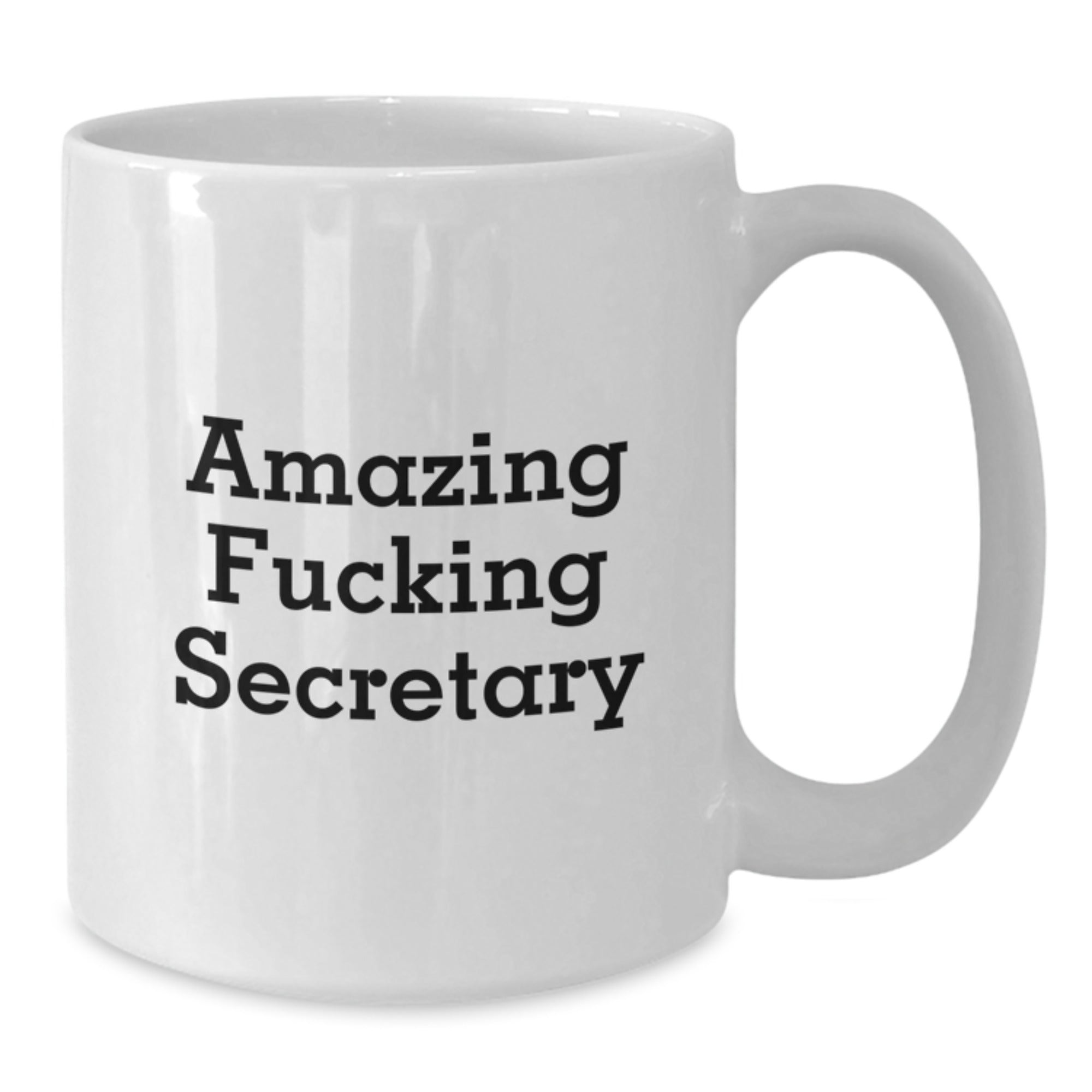 Funny Secretary Birthday Unique Gifts from Friends - Amazing Humorous Quote on White Coffee Mug, 11oz or 15oz, Ceramic, Microwave & Dishwasher Safe - Additional