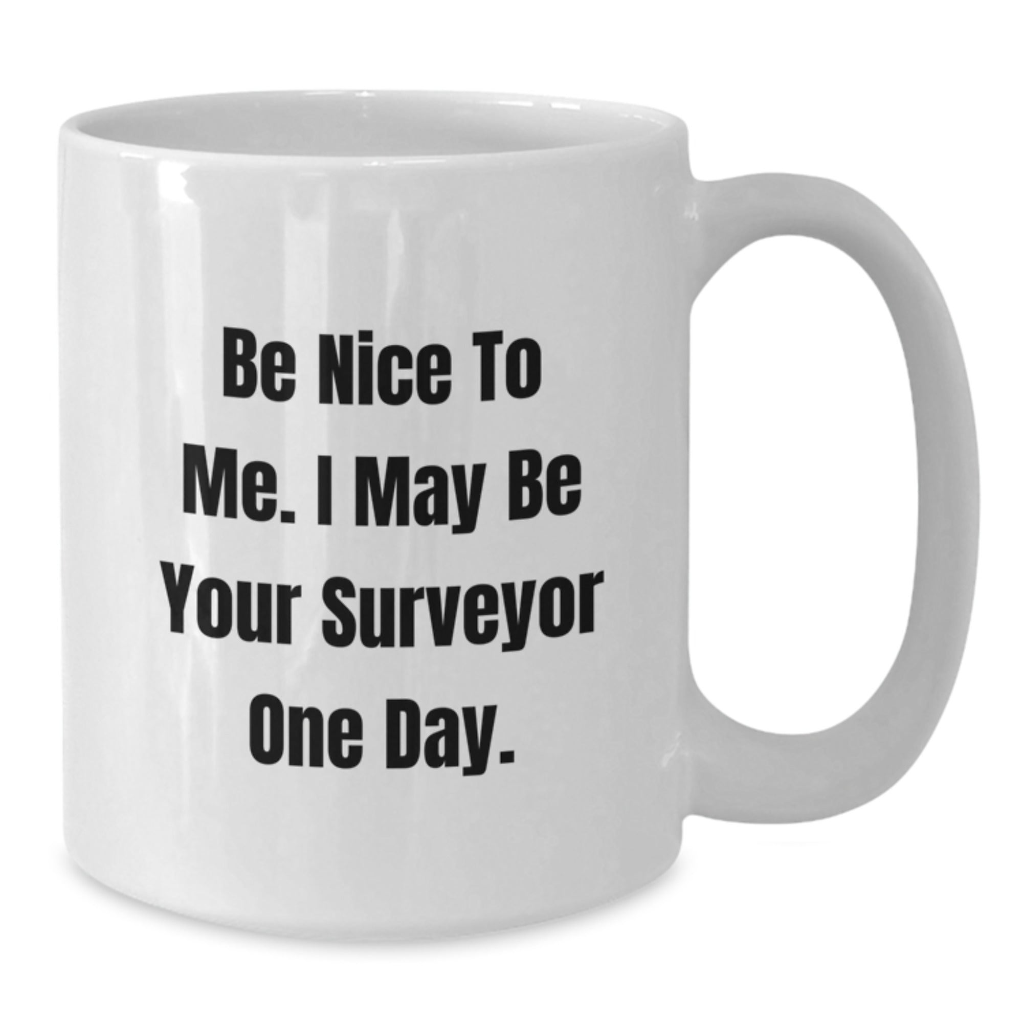 Funny Surveyor Gifts from Men to Surveyor Friends at Christmas Unique Gifts - Be Nice To Me I May Be Your Surveyor One Day White Coffee Mug - Additional