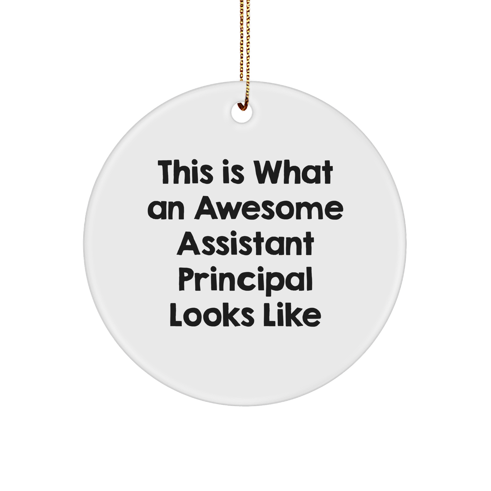 Funny Assistant Principal Gifts for Christmas - 'This Is What An Awesome Assistant Principal Looks Like' Circle Ornament from Friends, Coworkers, or Family - Image 1