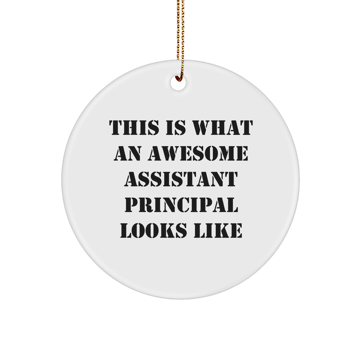 Funny Assistant Principal Gifts from Friends - Gifts for Assistant Principals, Circle Ornament with Inspirational Quote, Christmas Unique Gifts, Encouragement Ornaments for Home Decor - Image 1
