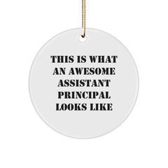 Funny Assistant Principal Gifts from Friends - Gifts for Assistant Principals, Circle Ornament with Inspirational Quote, Christmas Unique Gifts, Encouragement Ornaments for Home Decor - Image 1
