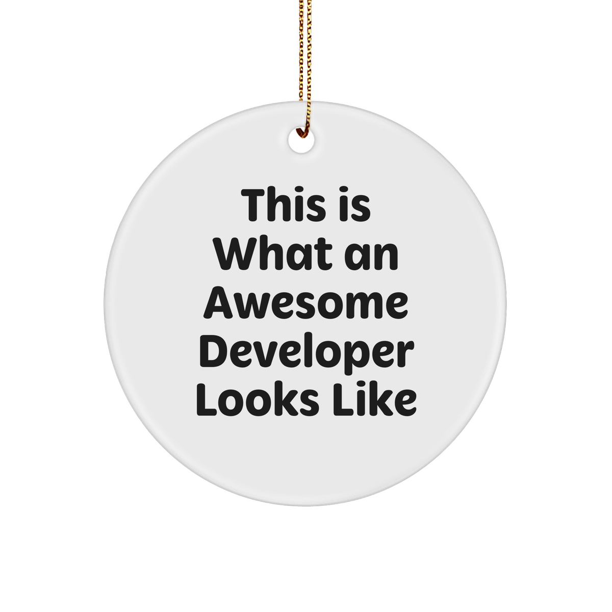 Developer Gifts from Santa, This Is What An Awesome Developer Looks Like, Circle Ornament, Christmas Unique Presents for Men or Women - Image 1
