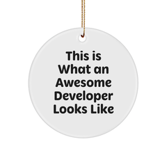 Developer Gifts from Santa, This Is What An Awesome Developer Looks Like, Circle Ornament, Christmas Unique Presents for Men or Women - Image 1