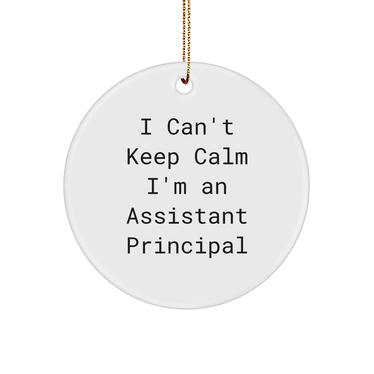 Funny Assistant Principal Gifts from Friends - I Can't Keep Calm I'm An Assistant Principal Circle Ornament, Christmas Unique Presents for Assistant Principal - Image 1